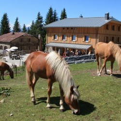Hochganghaus