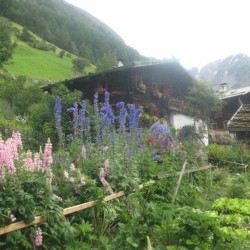 Mitterkaser Alm am Meraner H&ouml;henweg