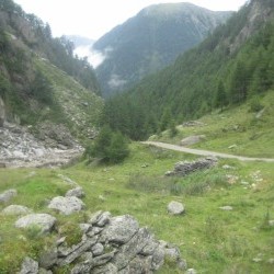 Meraner H&ouml;henweg Richtung Eishof