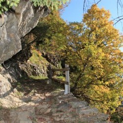 Weg